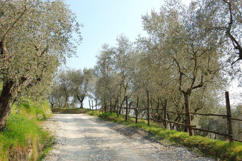 Fattoria Di Fubbiano Villa Collodi Room photo