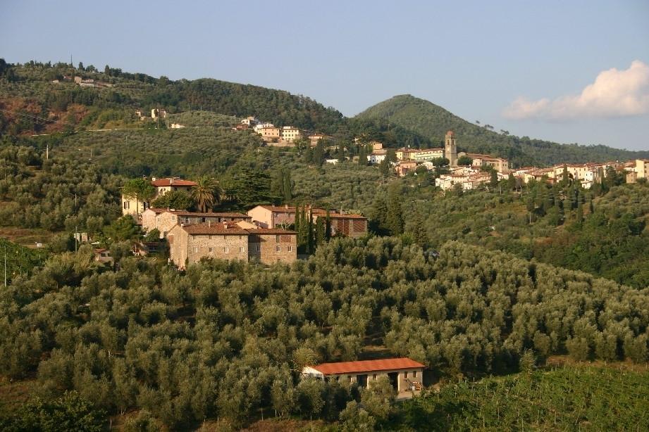 Fattoria Di Fubbiano Villa Collodi Room photo