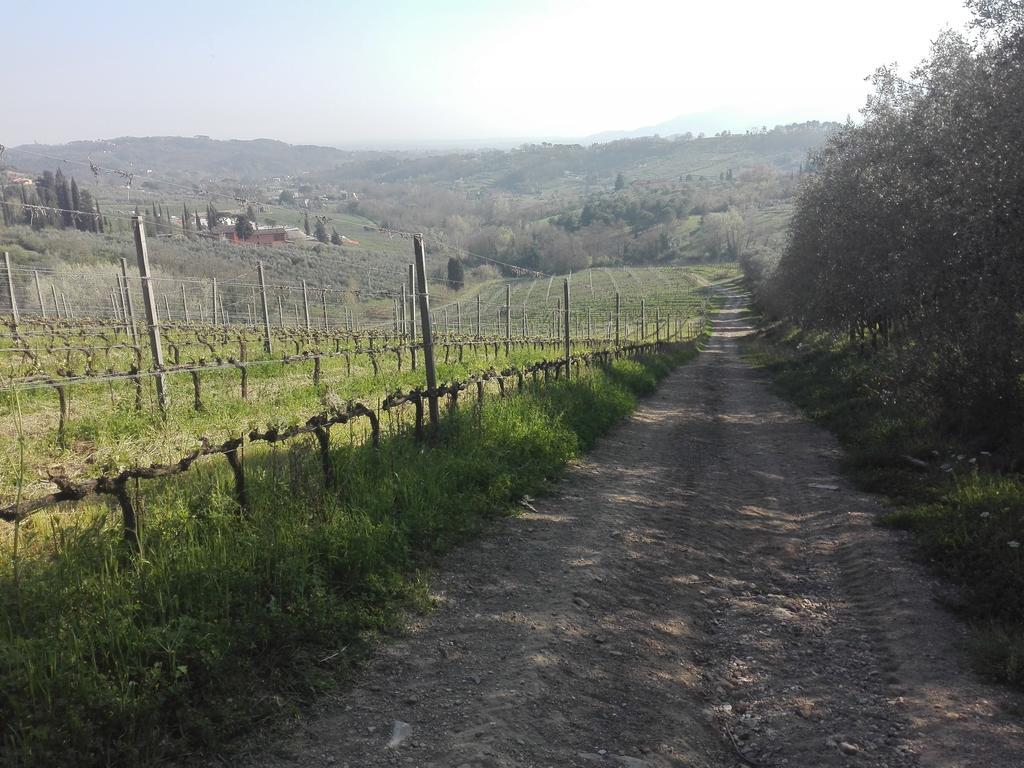 Fattoria Di Fubbiano Villa Collodi Exterior photo